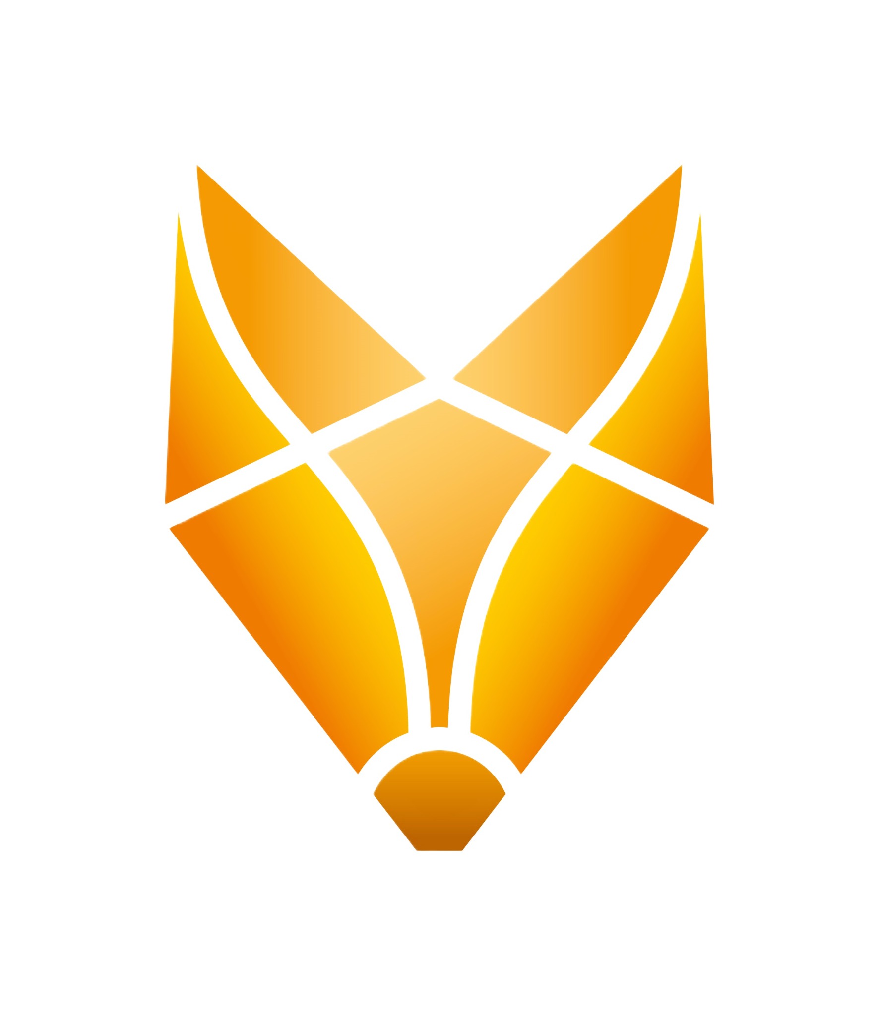 DNZ Logo